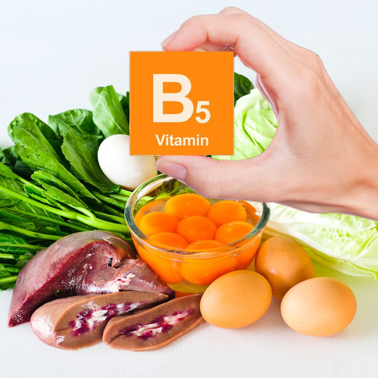 components-b5