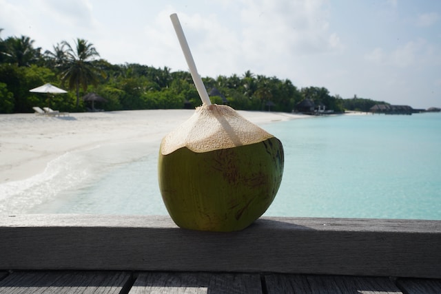 a coconut sitting on a wooden pier with a straw sticking out of it