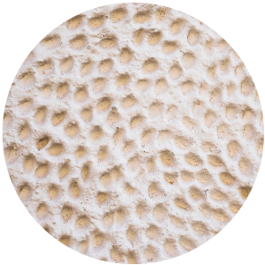 
															Calcium