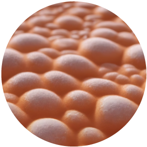 
															Lipolean