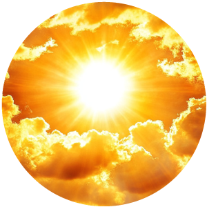 
															Vitamin D